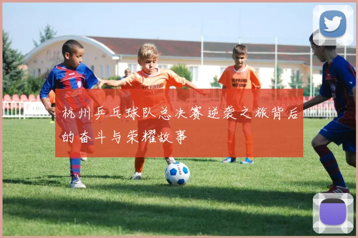 杭州乒乓球队总决赛逆袭之旅背后的奋斗与荣耀故事