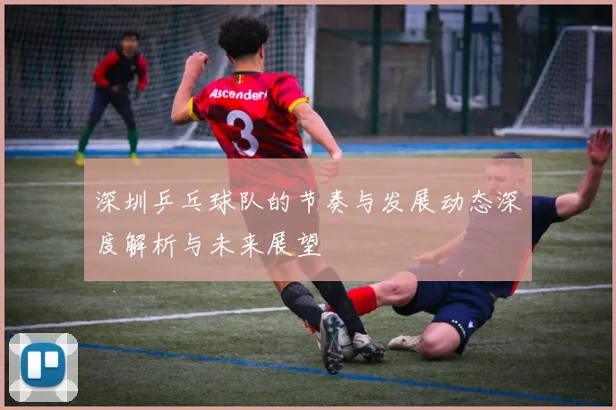 深圳乒乓球队的节奏与发展动态深度解析与未来展望