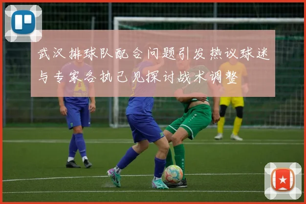 武汉排球队配合问题引发热议球迷与专家各执己见探讨战术调整