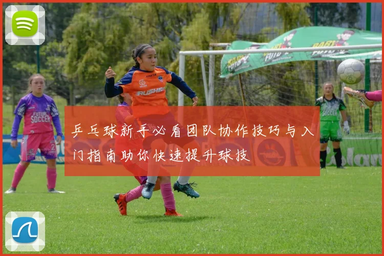 乒乓球新手必看团队协作技巧与入门指南助你快速提升球技