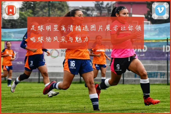 足球明星高清精选图片展示让你领略球场风采与魅力