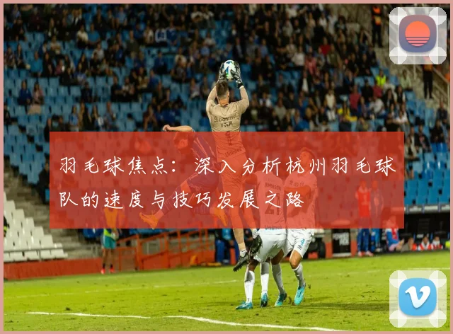 羽毛球焦点：深入分析杭州羽毛球队的速度与技巧发展之路