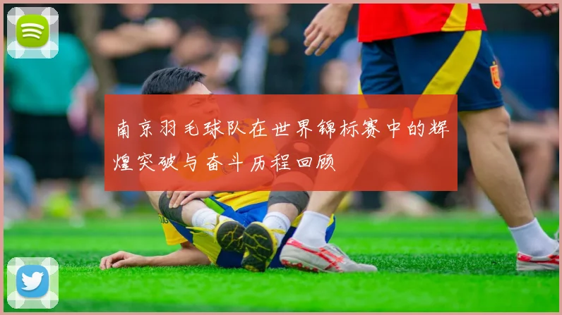 南京羽毛球队在世界锦标赛中的辉煌突破与奋斗历程回顾