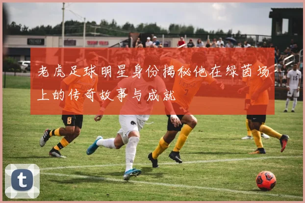 老虎足球明星身份揭秘他在绿茵场上的传奇故事与成就