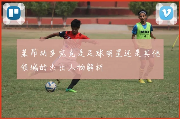 莱昂纳多究竟是足球明星还是其他领域的杰出人物解析