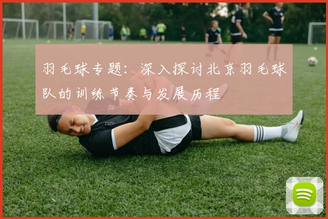 羽毛球专题：深入探讨北京羽毛球队的训练节奏与发展历程